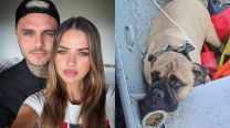 Mauro Icardi, La China Suárez y su perro Wet