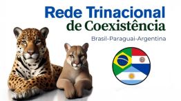 08-07-2025 Red Trinacional de Coexistencia