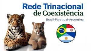 08-07-2025 Red Trinacional de Coexistencia
