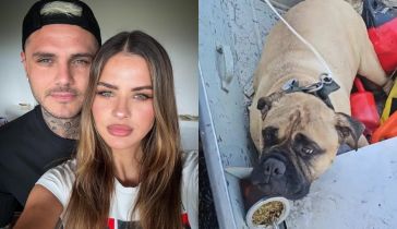 Mauro Icardi, La China Suárez y su perro Wet