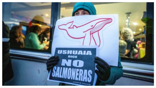 Científicos rechazan la salmonicultura en jaulas flotantes en el mar: contamina y no genera empleo