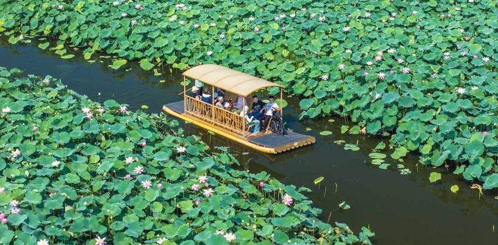 Vista aérea tomada con un dron de turistas montados en un bote disfrutando de las flores de loto en un punto escénico, en la ciudad de Xinghua, en la provincia de Jiangsu, en el este de China. Con la llegada de las vacaciones de verano, muchos lugares de China han entrado en la temporada alta de turismo. (Xinhua/Zhou Shegen)