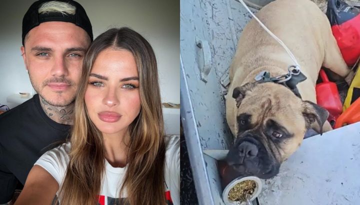 Aseguran que el perro de La China Suárez habría muerto por culpa de Mauro Icardi: qué pasó