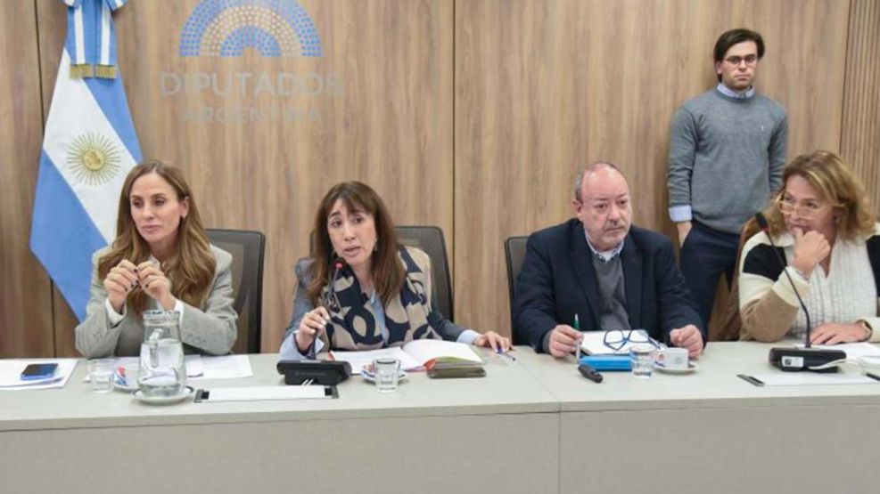 Diputados Comision de Familias 08072025