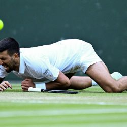 El serbio Novak Djokovic cae mientras juega contra el italiano Flavio Cobolli durante su partido de cuartos de final de tenis individual masculino en el décimo día del Campeonato de Wimbledon 2025 en el All England Lawn Tennis and Croquet Club en Wimbledon, al suroeste de Londres. | Foto:KIRILL KUDRYAVTSEV / AFP