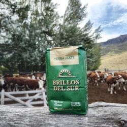 Yerba Mate Brillos del Sur: Calidad, innovación y expansión | Foto:CEDOC