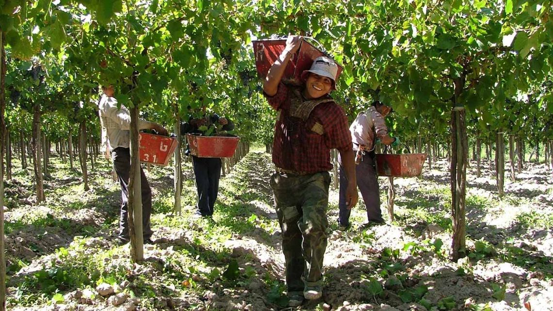El Gobierno aumentó 10% la prestación por desempleo rural a partir de noviembre 2025