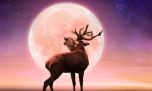 Luna llena del Ciervo 2025: ¿a qué hora puede verse desde la Argentina?