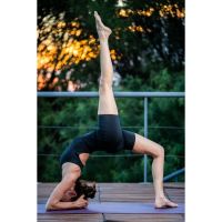 La Práctica de Ashtanga Vinyasa Yoga. Sus Diferentes Series y formas de estudio