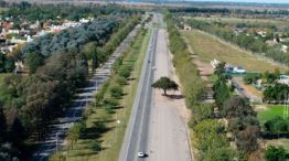 arbol-quebracho-villa-allende-luchesse
