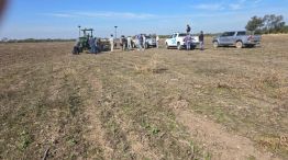 El campo de Bajo Hondo donde murió la mujer