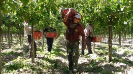 Trabajadores Rurales 10072025