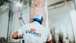 Livorno - Frigorífico - Causa Dagatti