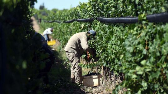 El RENATRE aumentó 10% la prestación por desempleo rural a partir de noviembre de 2025 El RENATRE aumentó 10% la prestación por desempleo rural a partir de noviembre de 2025