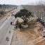 Almost 300-year-old tree moved to make way for road widening