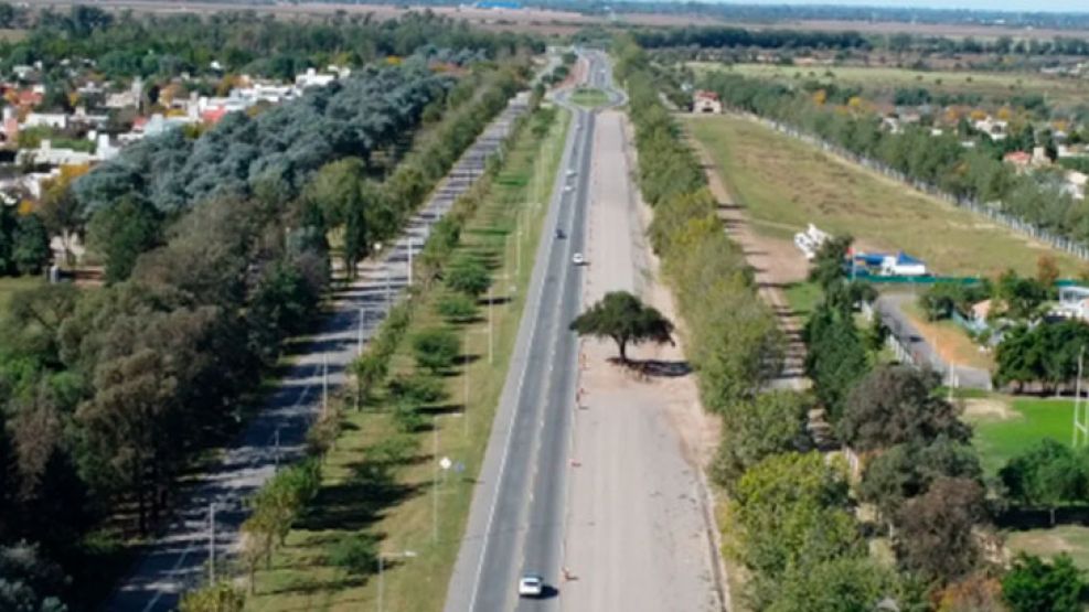 arbol-quebracho-villa-allende-luchesse