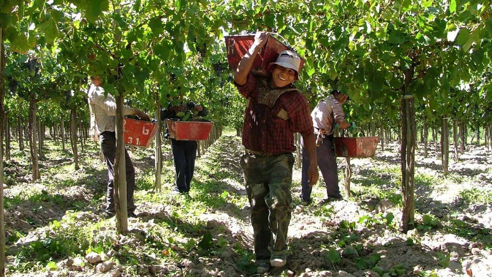 Trabajadores Rurales 10072025