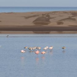 Muchas actividades en Tres Arroyos para las vacaciones de invierno.