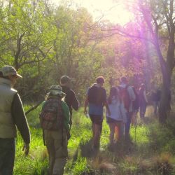 Muchas actividades en Tres Arroyos para las vacaciones de invierno.
