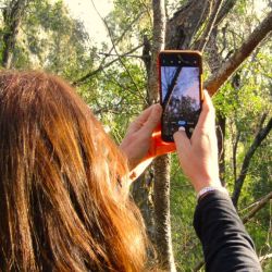 Muchas actividades en Tres Arroyos para las vacaciones de invierno.