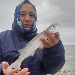 La pesca se mantuvo muy firme durante las últimas semanas, aunque con la ola polar el pique se volvió inconstante, algo que pasó en toda la provincia de Buenos Aires. 