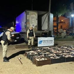 Sábalos y bogas tienen un medida mínima en Entre Ríos de 42 cm. 