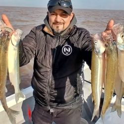 Las lagunas se vieron favorecidas con el respiro que dio el frío y mejoraron las faenas de los pescadores que fueron por el flecha de plata. En el norte, buenas condiciones en el litoral.