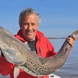 Las lagunas se vieron favorecidas con el respiro que dio el frío y mejoraron las faenas de los pescadores que fueron por el flecha de plata. En el norte, buenas condiciones en el litoral.