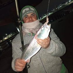 Las lagunas se vieron favorecidas con el respiro que dio el frío y mejoraron las faenas de los pescadores que fueron por el flecha de plata. En el norte, buenas condiciones en el litoral.