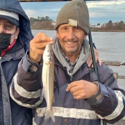 Las lagunas se vieron favorecidas con el respiro que dio el frío y mejoraron las faenas de los pescadores que fueron por el flecha de plata. En el norte, buenas condiciones en el litoral.