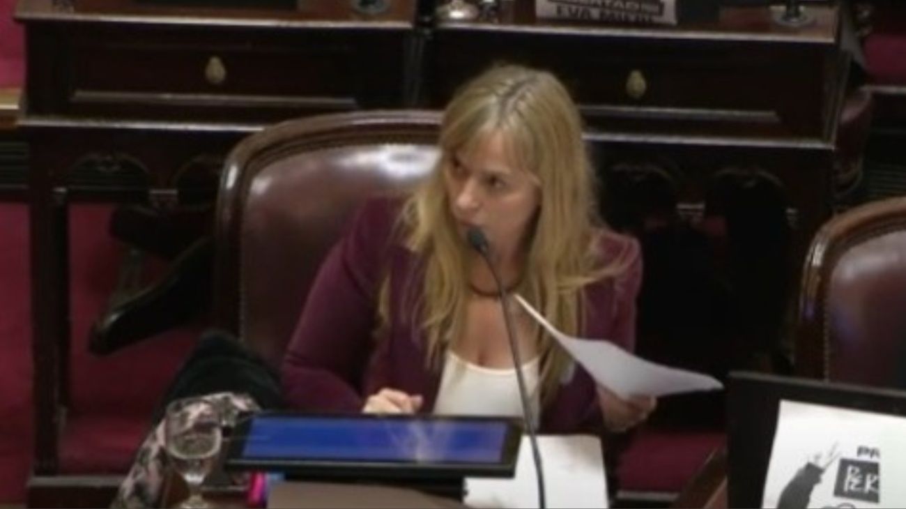 Senadora Juliana Di Tullio anunciando que denunciará a los influencers libertarios