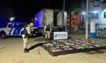 Decomisaron más de 1.200 kilos de sábalos y bogas en Villa Paranacito