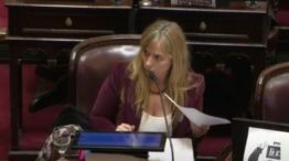 Senadora Juliana Di Tullio anunciando que denunciará a los influencers libertarios
