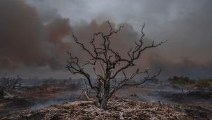 Despues del incendio