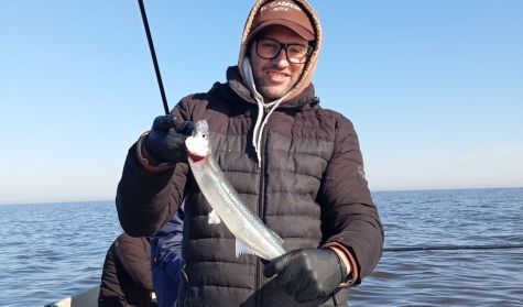 1107_pesca