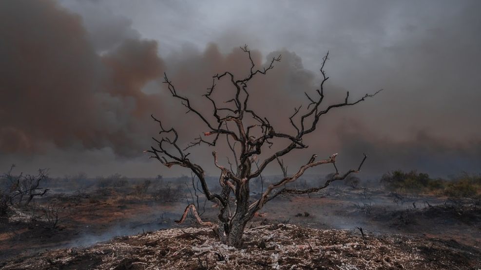 Despues del incendio