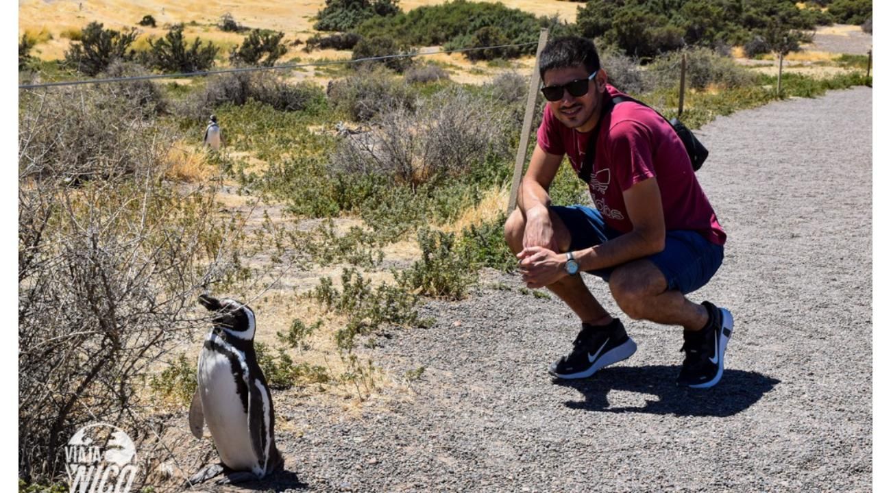 Puerto Madryn y alrededores: naturaleza salvaje, mar y Aventura.