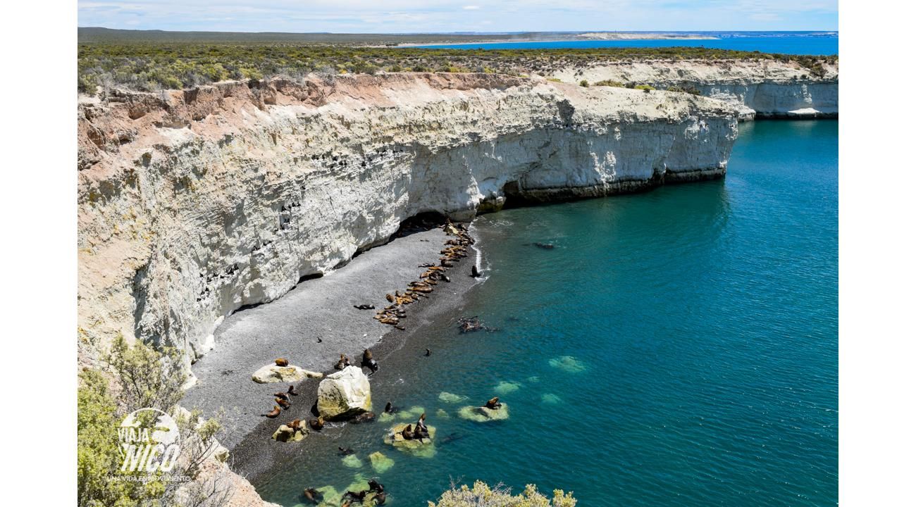 Puerto Madryn y alrededores: naturaleza salvaje, mar y Aventura.