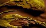 Cómo hacer chocolate Dubái en casa: receta fácil y la historia del dulce más lujoso del momento