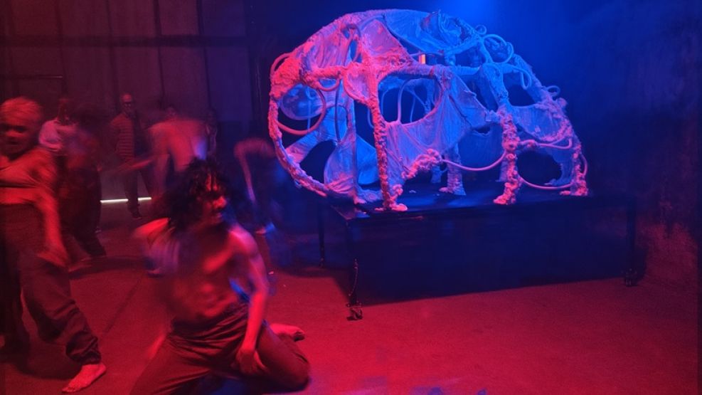 Abismos de Revel Mar