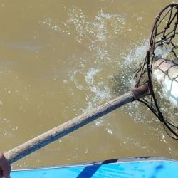 Es inminente la unificación de criterios en el litoral para un único permiso de pesca, tanto comercial como deportivo, y un reglamento común.