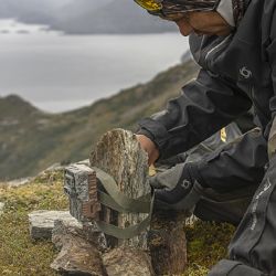 Fueron avistados gracias a las cámaras trampa.