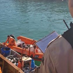 En la embarcación se encontraron a bordo 25 cajones de pescado con un total de unos 750 kilos aproximadamente con diferentes especies.