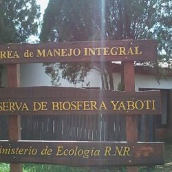 La Reserva de Bíósfera Yabotí es una de las áreas protegidas más valiosas de Misiones.