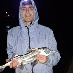 En la mayoría de los pesqueros el rinde fue superior al que se venía dando días previos.