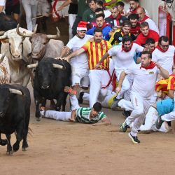 Un participante cae al suelo al entrar los toros de la raza La Palmosilla en la plaza durante el séptimo encierro de San Fermín en Pamplona, norte de España. | Foto:ANDER GILLENEA / AFP