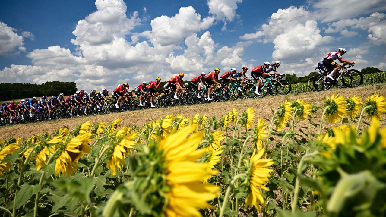 El pelotón pedalea entre campos de girasoles durante la novena etapa de la 112.ª edición del Tour de Francia, de 174,1 km entre Chinon y Chateauroux, en el centro de Francia. | Foto:LOIC VENANCE / AFP