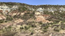 Impactante hallazgo: encuentran proteína en dientes fósiles.