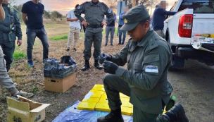 Incautaron un camión con 172 kilos de cocaína en Chaco 20250714