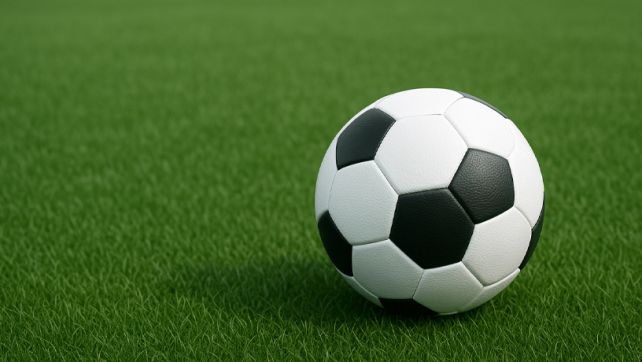 Pelota de fútbol